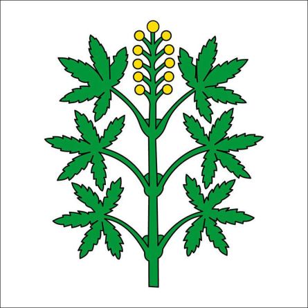 Wangen Brüttisellen